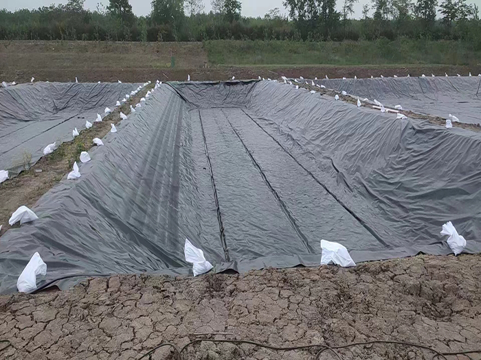 1654500977286523.jpg 0f90d3442d3ec9c9a88f49de57398a2.jpg